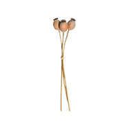 Poppy Seed Bunch Brown Pack of 6