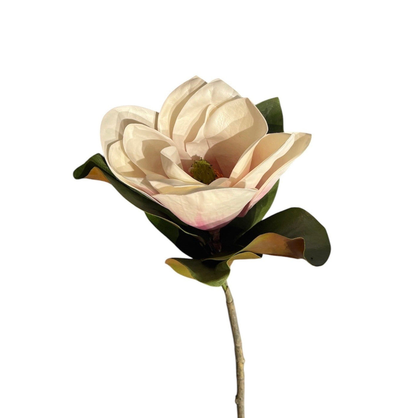 Magnolia Stem White and Pink Pack of 6