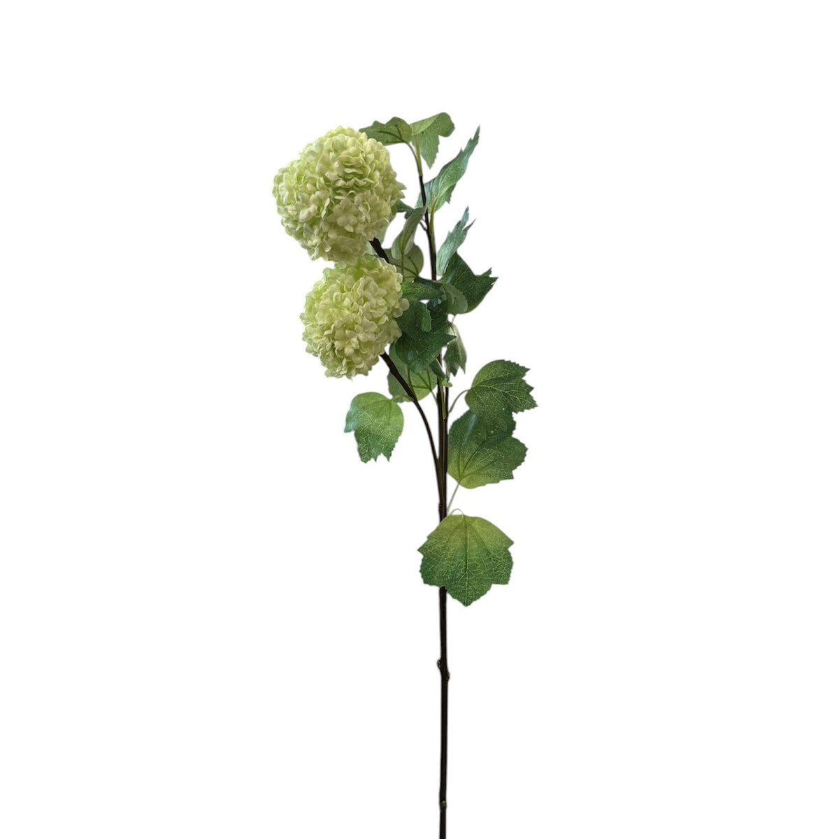 Sowball Spay Stem Pack 6 - 81cm