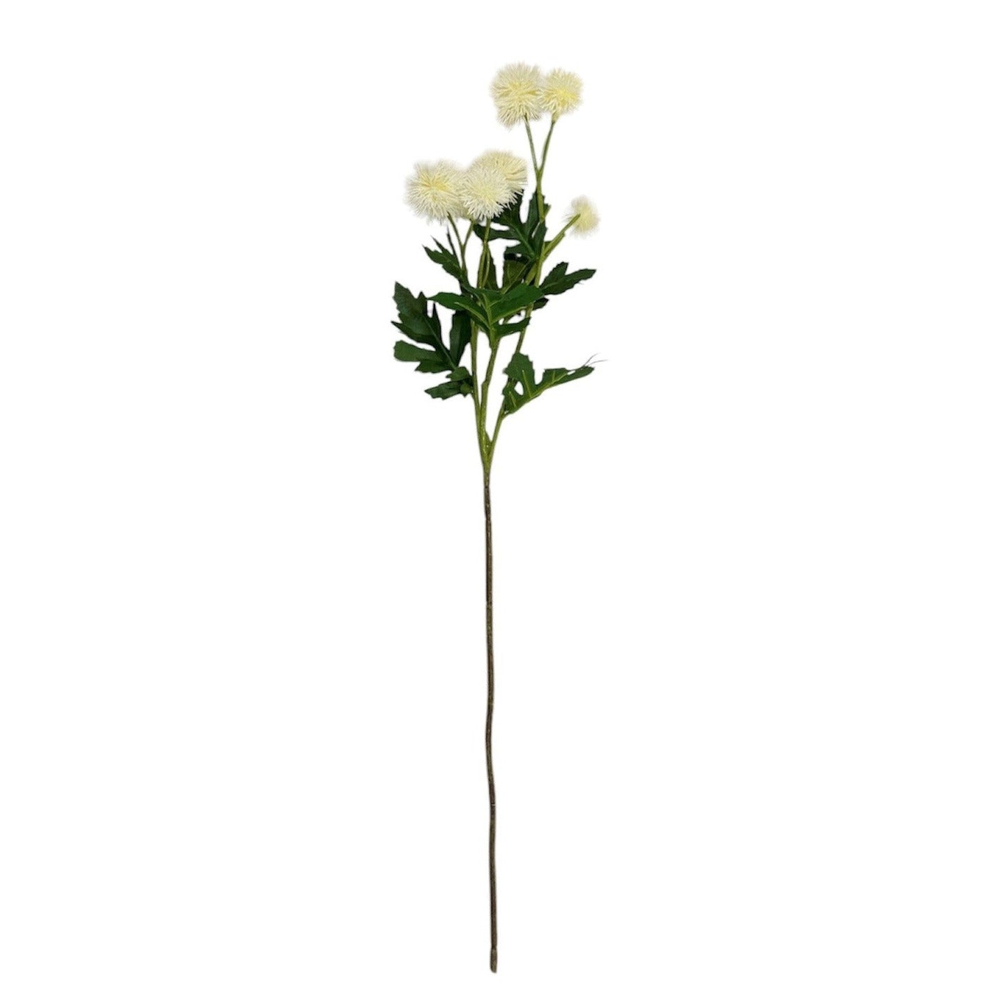 Chrysanthemum Stem Cream 56cm Pack of 6