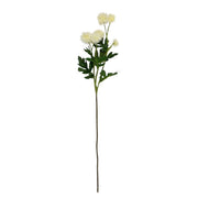 Chrysanthemum Stem Cream 56cm Pack of 6