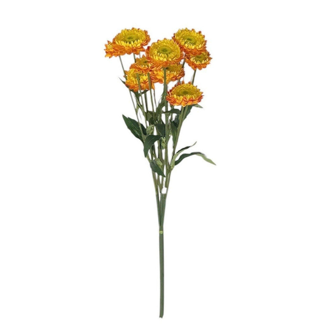 Straw Flower Stem Orange Pack of 6