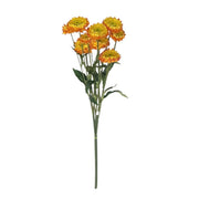Straw Flower Stem Orange Pack of 6