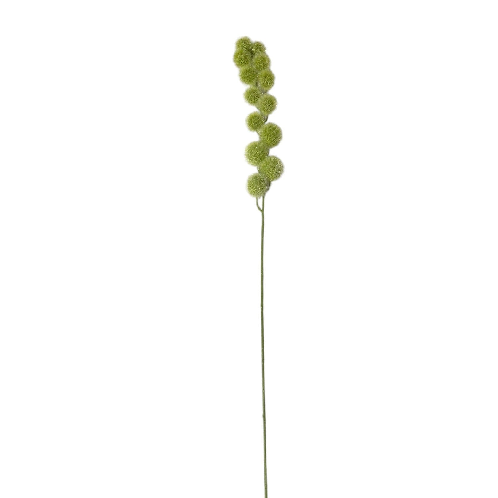 Milk Weed Stem Green Pack of 6