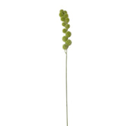 Milk Weed Stem Green Pack of 6