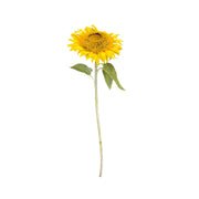 Sunflower Stem Yellow Pack of 12