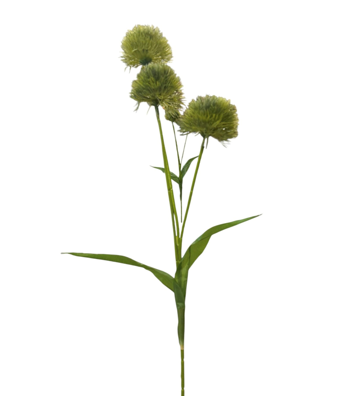 DandySpray  Spay Stem Pack 6 - 81cm
