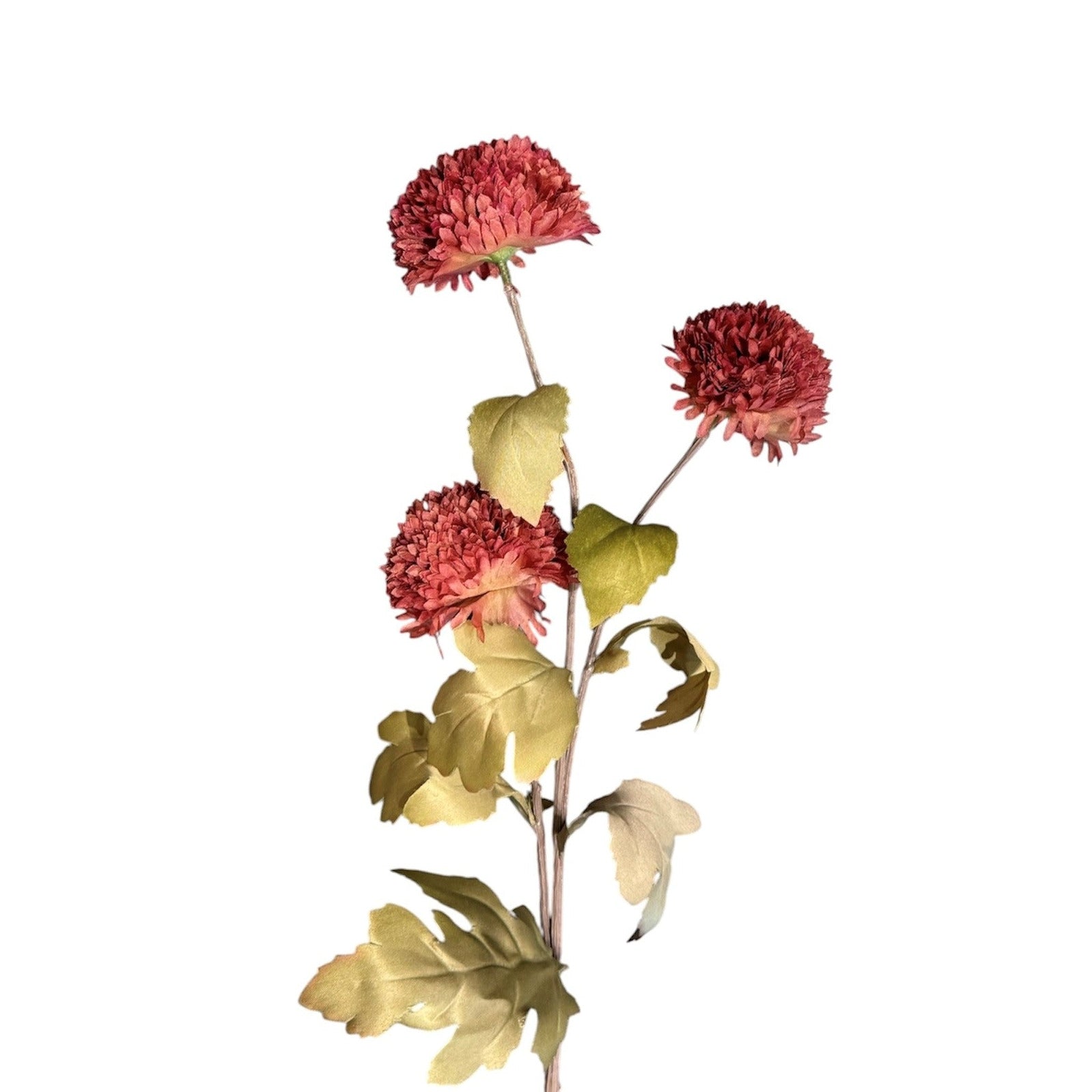 Chrysanthemum Stem Red Pack of 8
