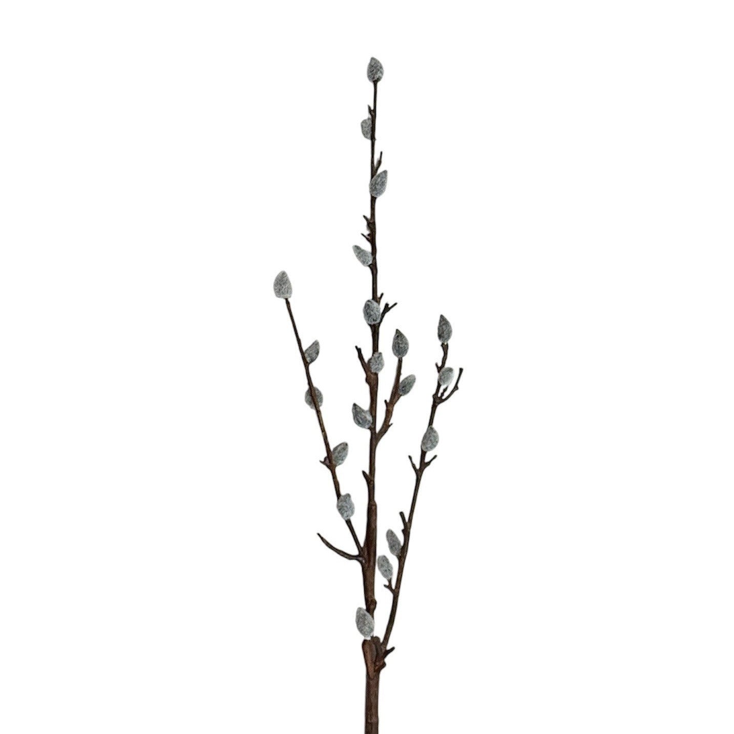 Pussy Willow Stem White Natural Pack of 6