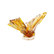 Glass Butterfly  - Papilio Splendid 11cm