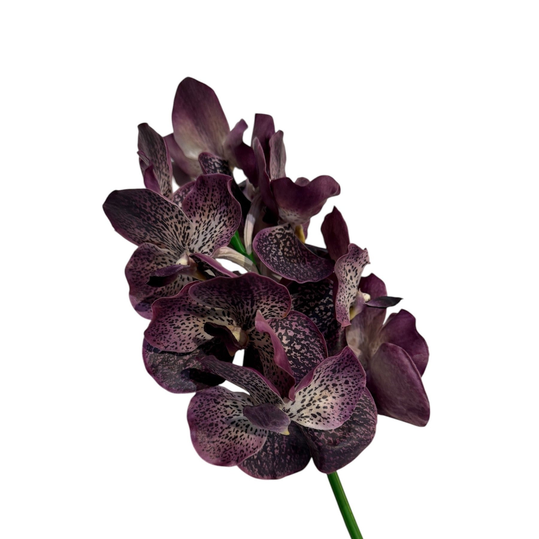 Hand Painted Vanda Orchid Stem Purple Pack of 3