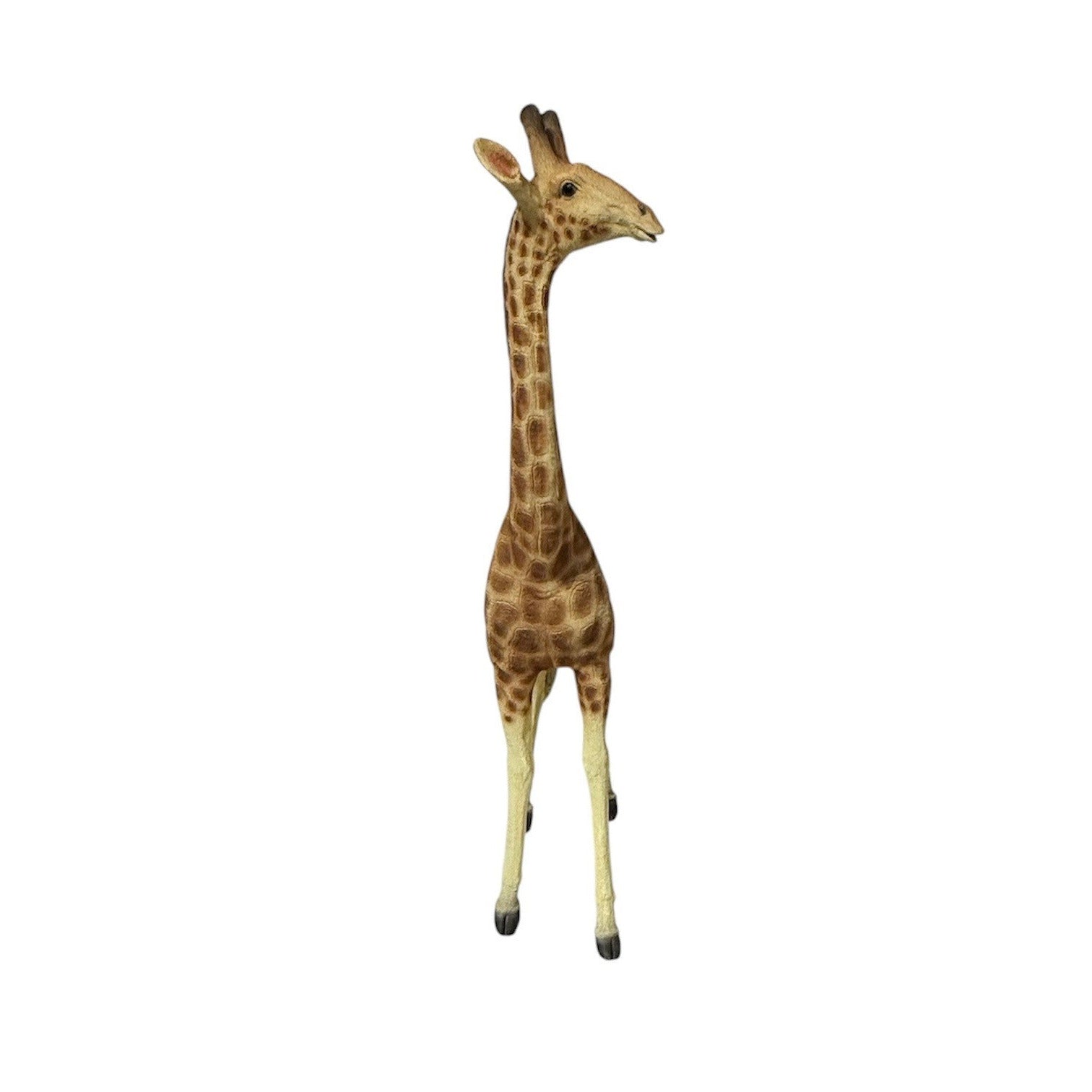 Standing Giraffe
