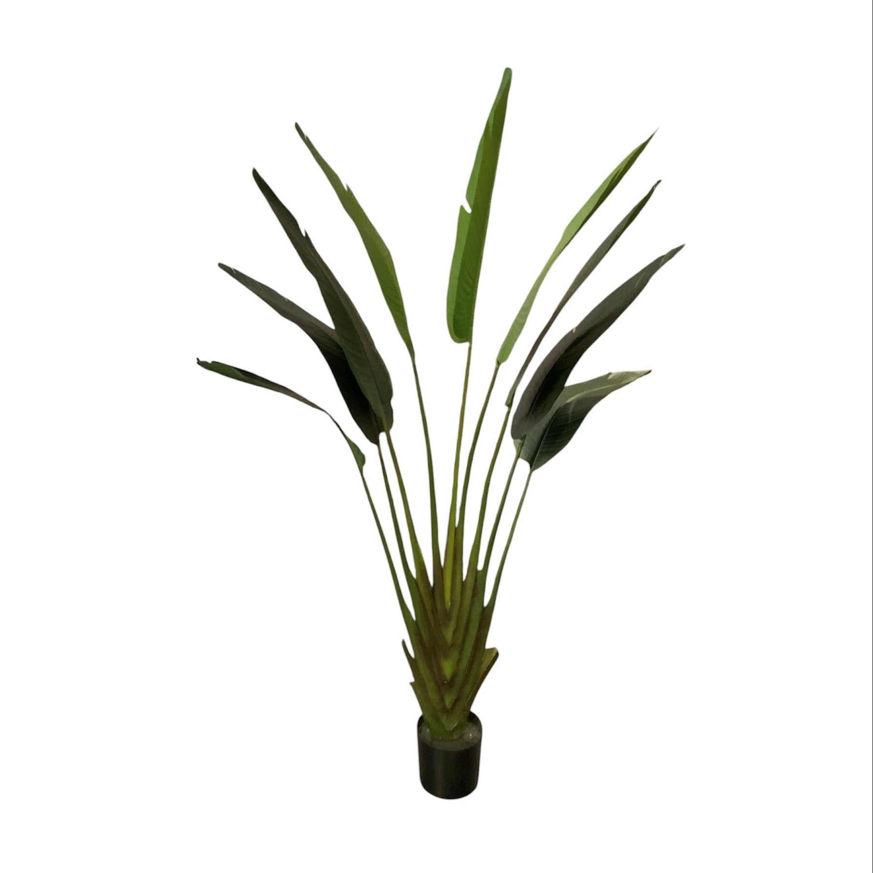 Artificial Travellers Palm - 190cm
