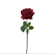 Rose Candice Red Pack 4 - 42cm