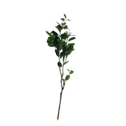 Oriental Ficus Branch Green Pack of 6