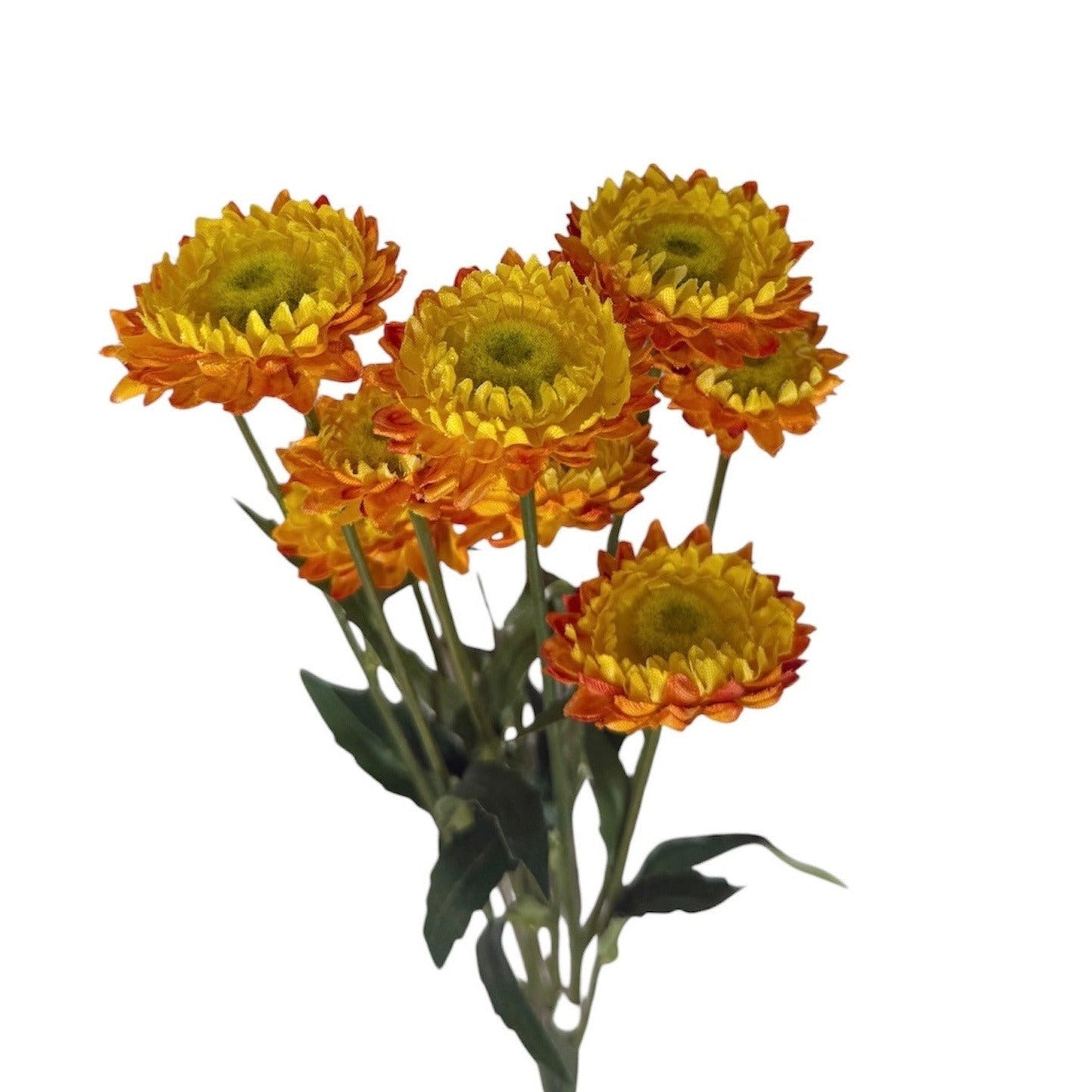 Straw Flower Stem Orange Pack of 6