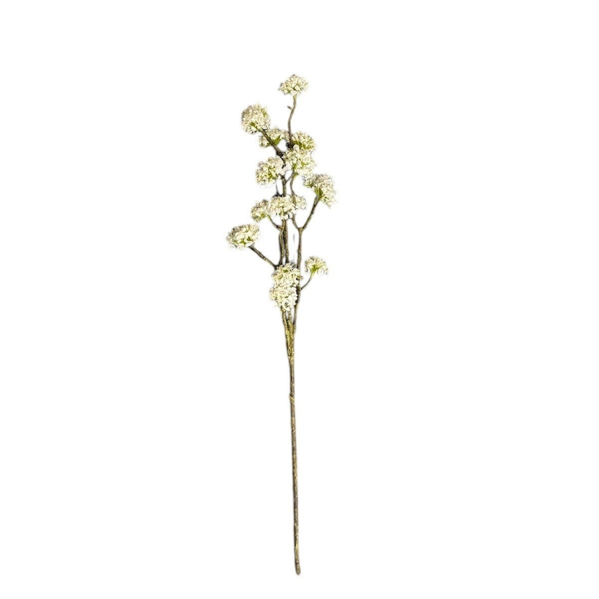 Buddleia Spray Cream Pack of 6