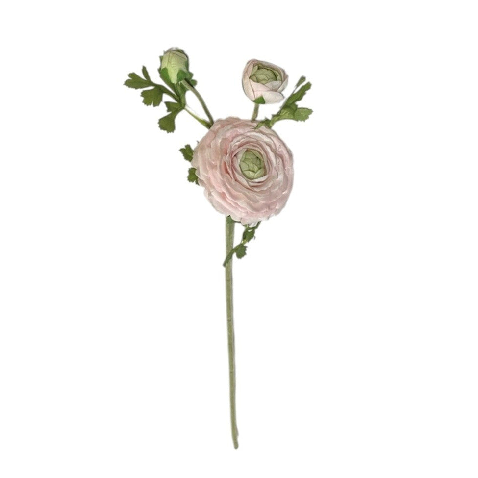 Ranunculus Stem Light Pink Pack of 6