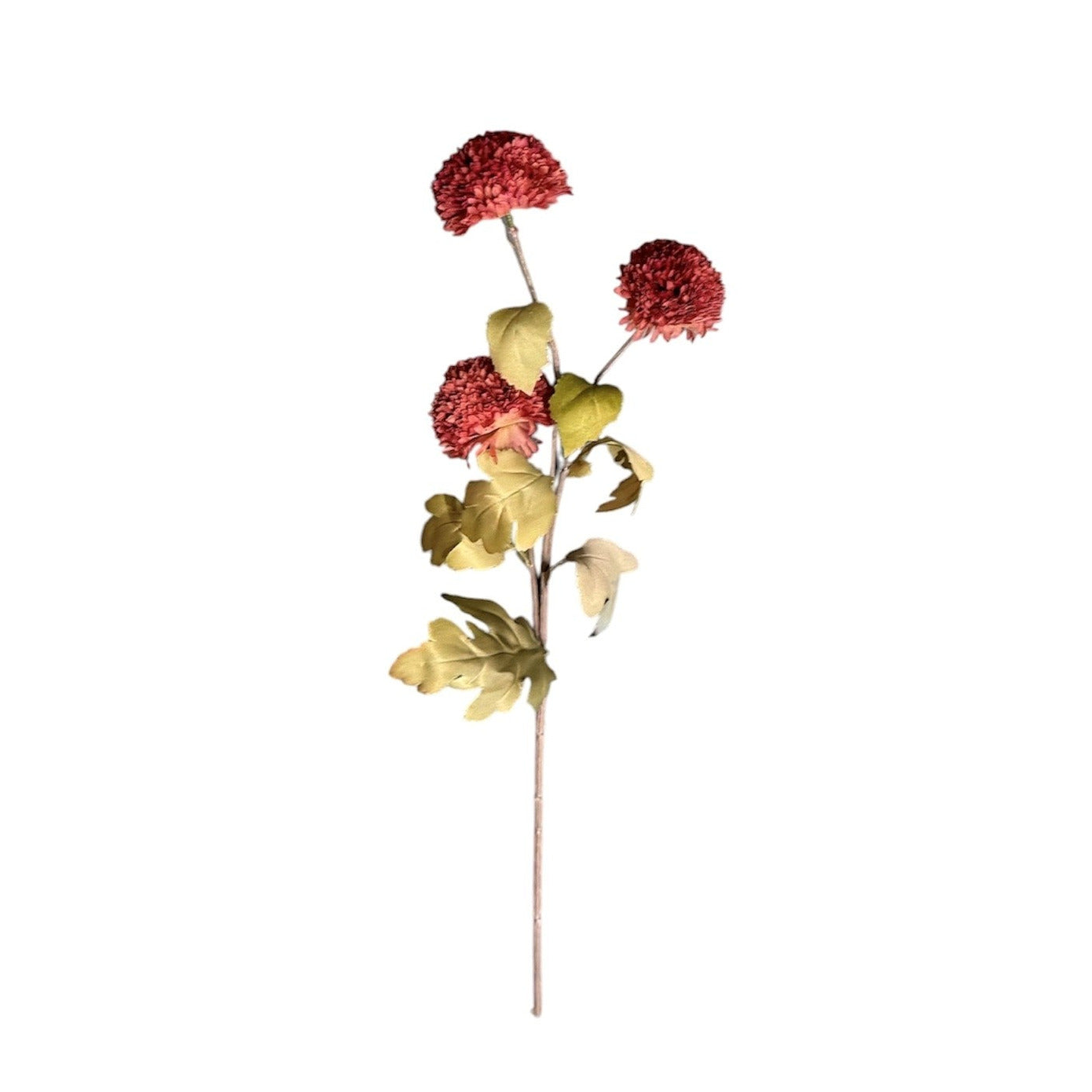 Chrysanthemum Stem Red Pack of 8