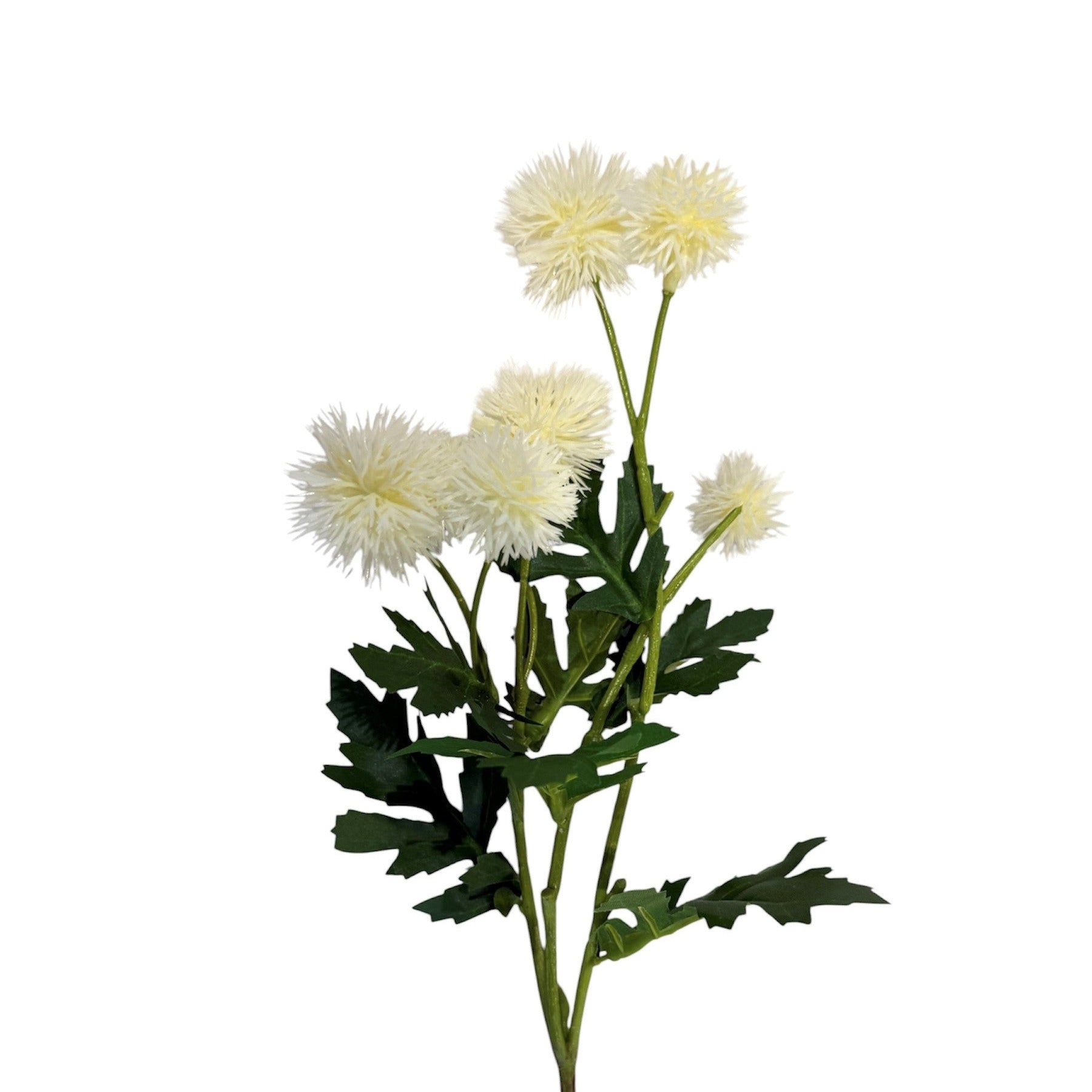 Chrysanthemum Stem Cream 56cm Pack of 6