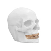 Skull Bowl -White and Gold