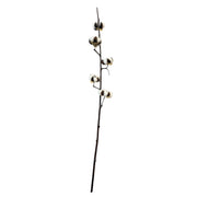 Cotton Stem Brown and White Pack 6 - 90cm
