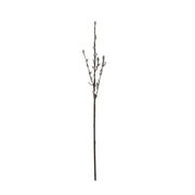 Pussy Willow Stem White Natural Pack of 6