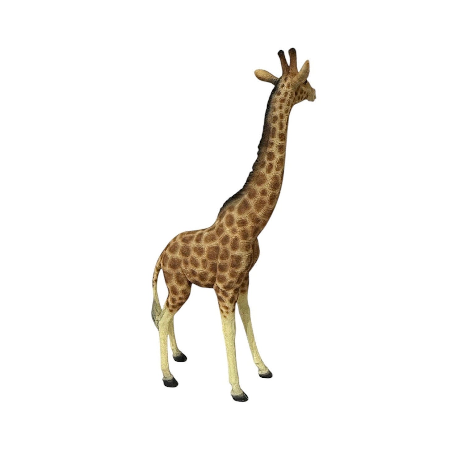 Standing Giraffe 61cm