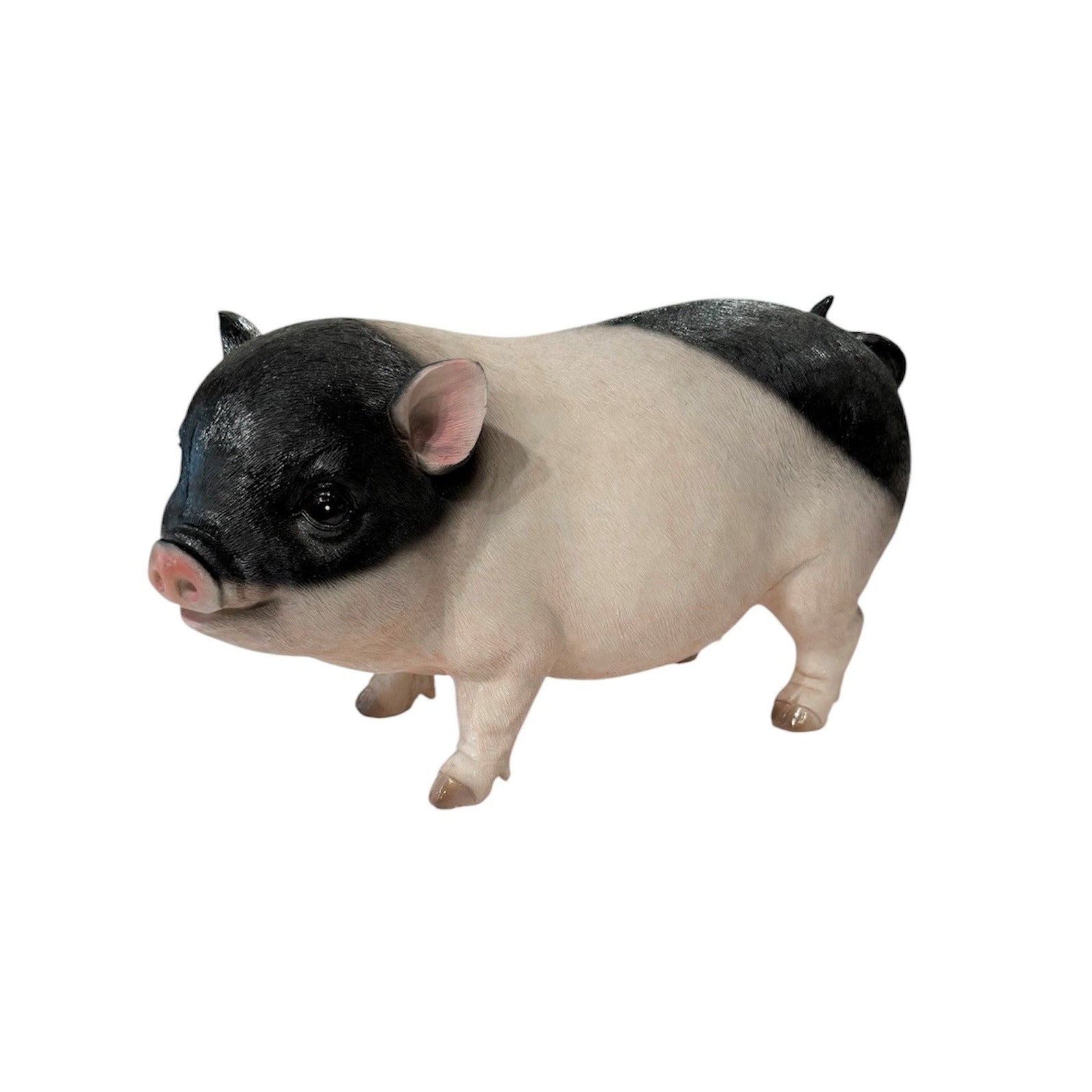 Standing Pig 19cm