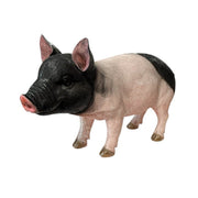 Standing Pig 40cm