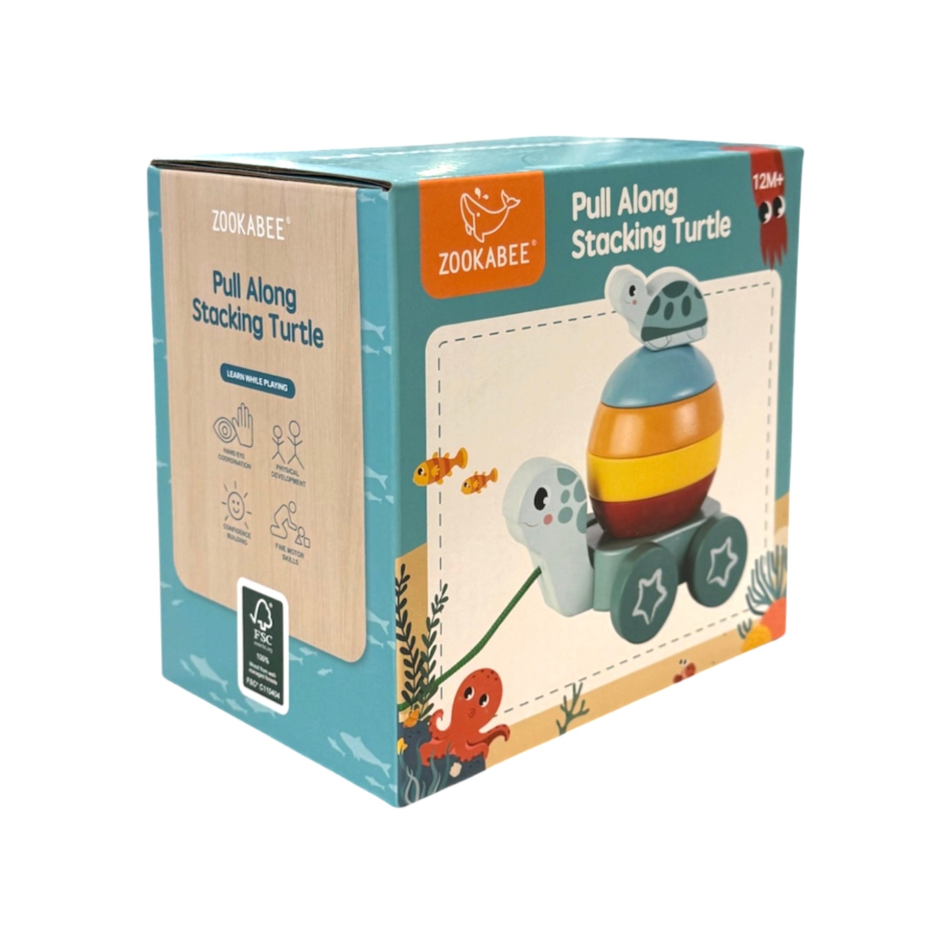Pull Along Stacking Turtle Kids Activity Toy