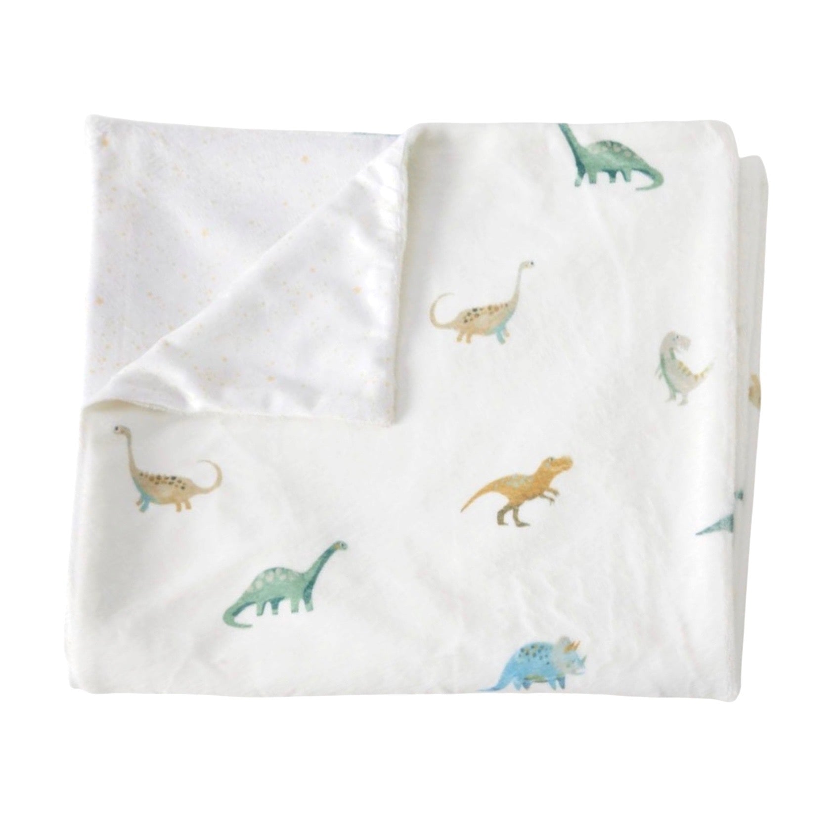 Jiggle & Giggle Kids Dallying Dinosaurs Soft Fleece Blanket