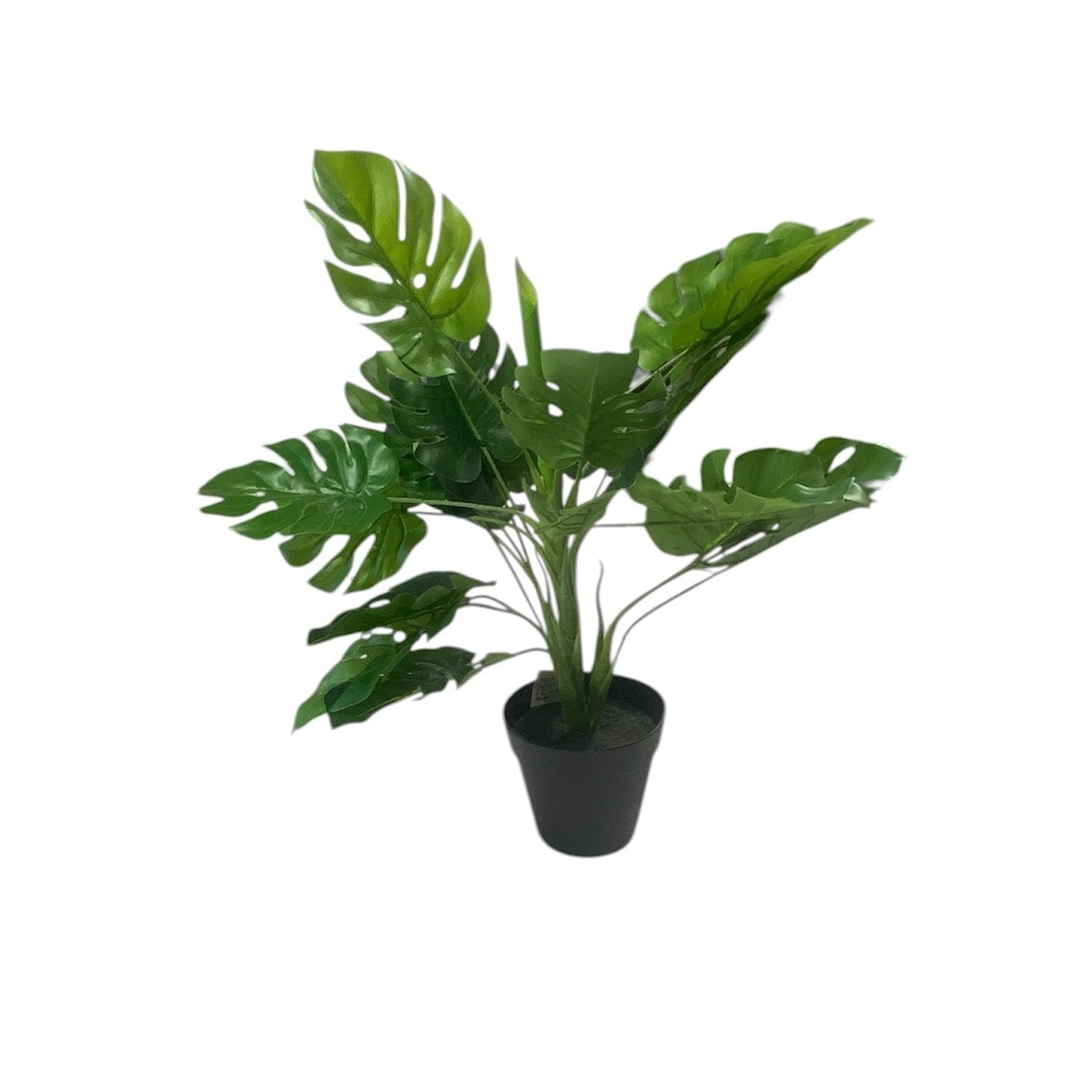 Artificial Monsteria Plant 50cm