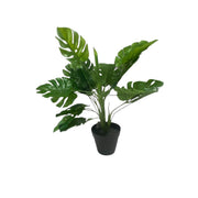 Artificial Monsteria Plant 50cm