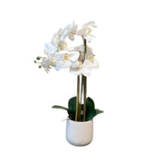 Artificial White Orchid in Pot 60cm