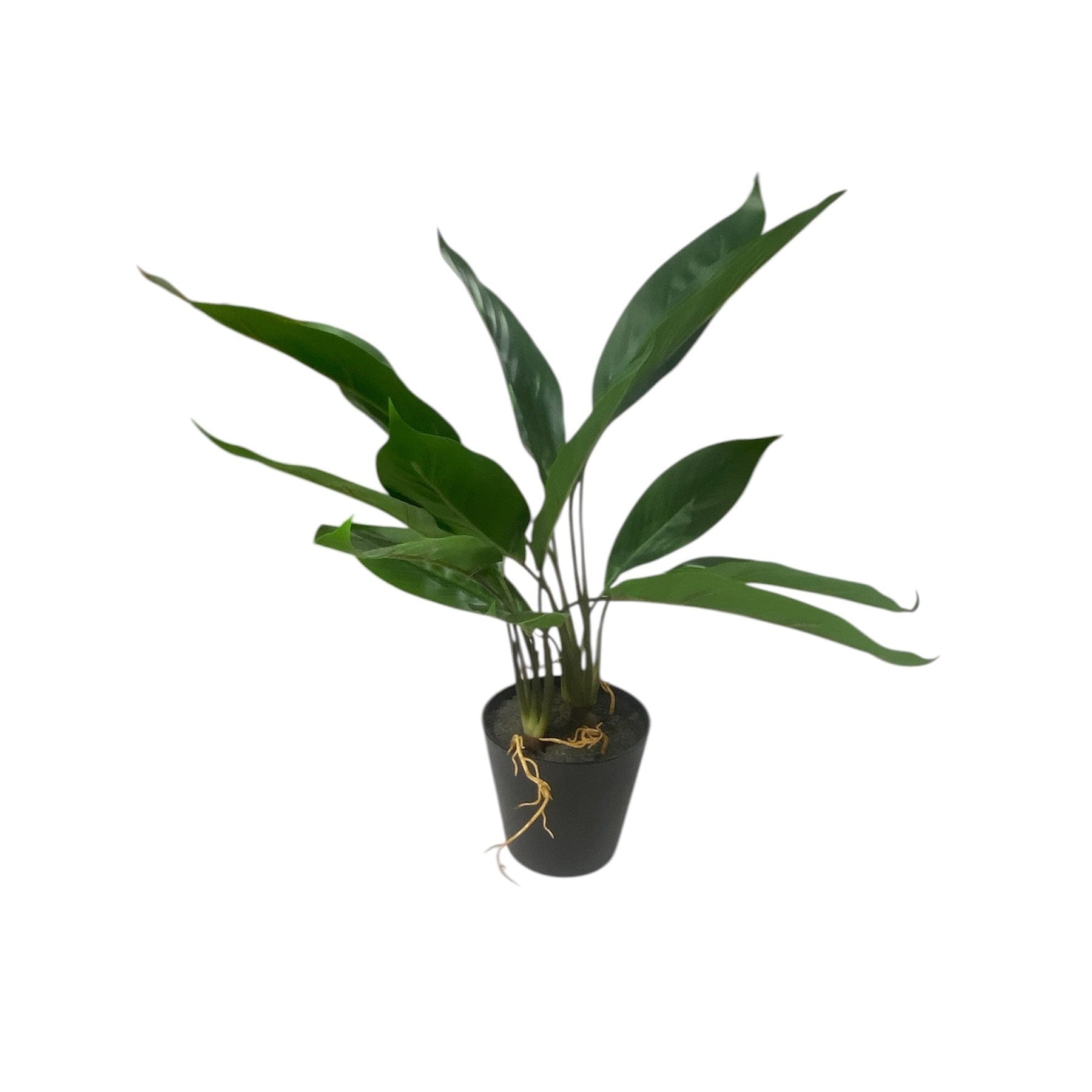 Artificial Peace Lilly 53cm
