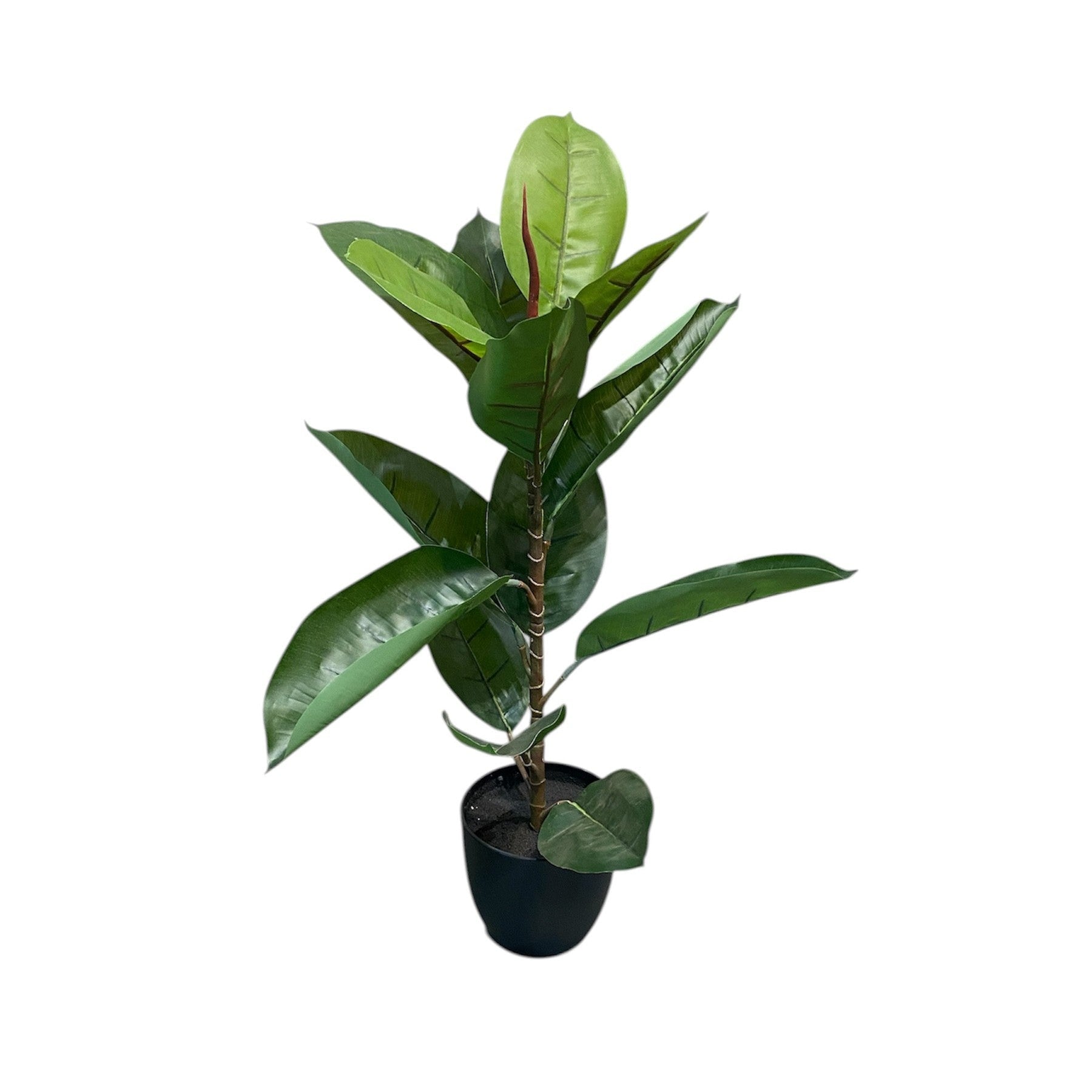 Artificial Rubber Plant 67cm